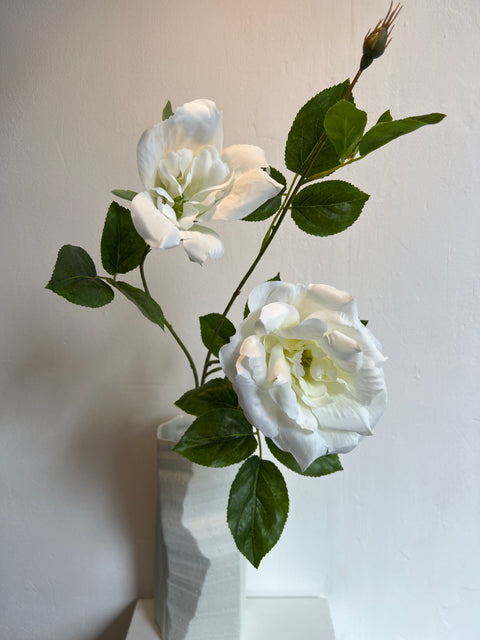 Roos liza spray x3 wit 80 cm