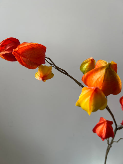 Physalis tak oranje/groen 80 cm