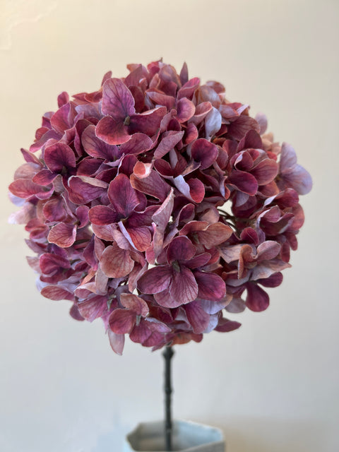 Hortensia bol donker roze 67 cm