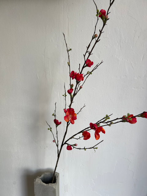 Quince blossom tak 125 cm coral