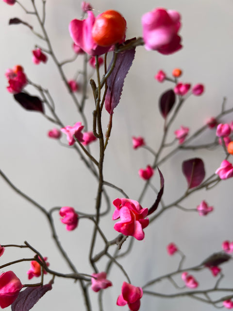 Kardinaalsmuts oranje/roze met blaadje 122 cm