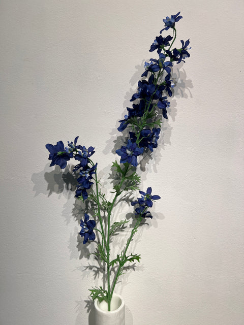Delphinium 95 cm donker blauw