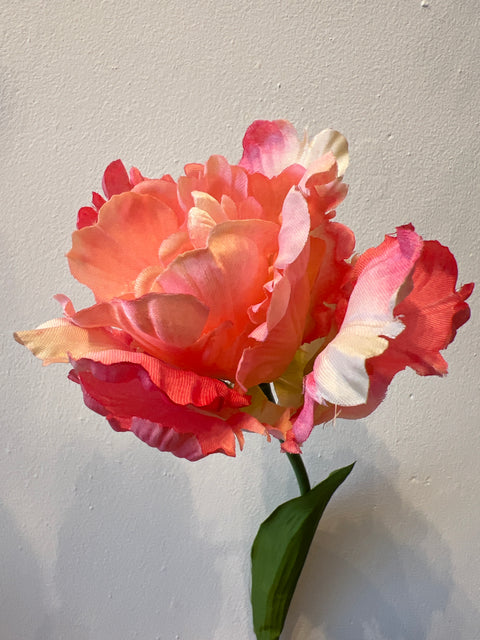 Tulp papagaai zalm roze 66 cm