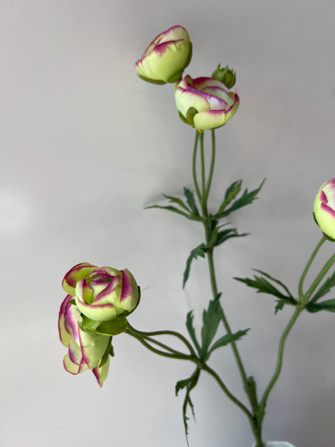 Ranonkel tak x3 groen/roze 65 cm
