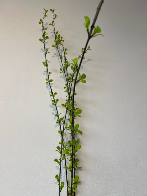 Bladtak groen 170 cm