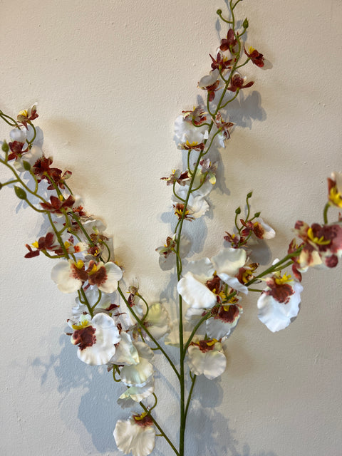 Orchidee x5 wit 78 cm