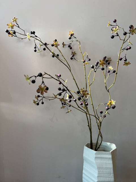 Vlierbes zwart, bloem groen 108 cm