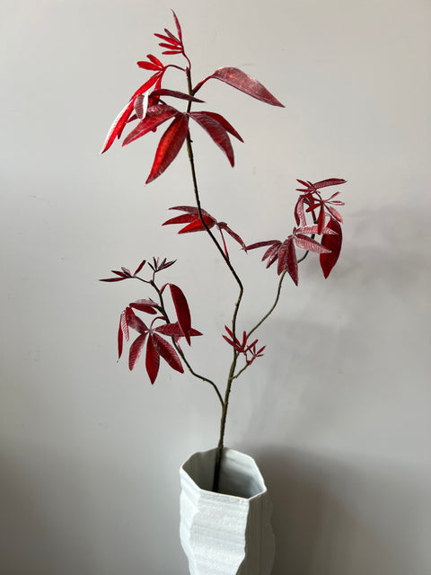 Esdoorn tak bordeaux 92 cm