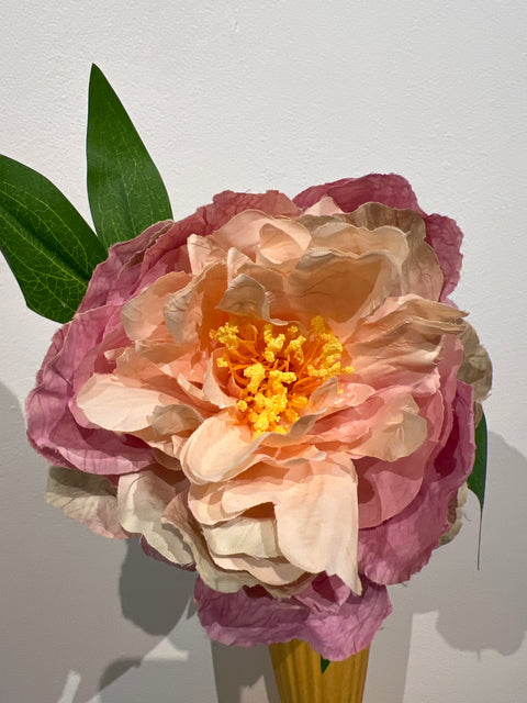 Pioenroos lavendel 65 cm