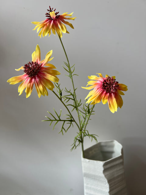 Rudbeckia tak geel 68 cm