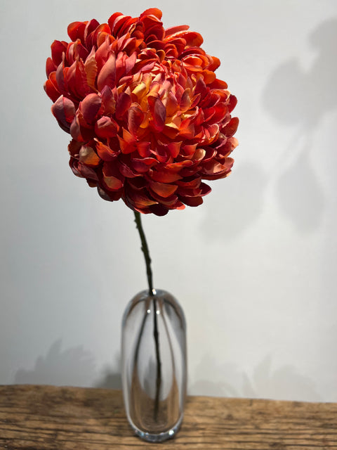 Chrysant Large Mum  orange  65 cm