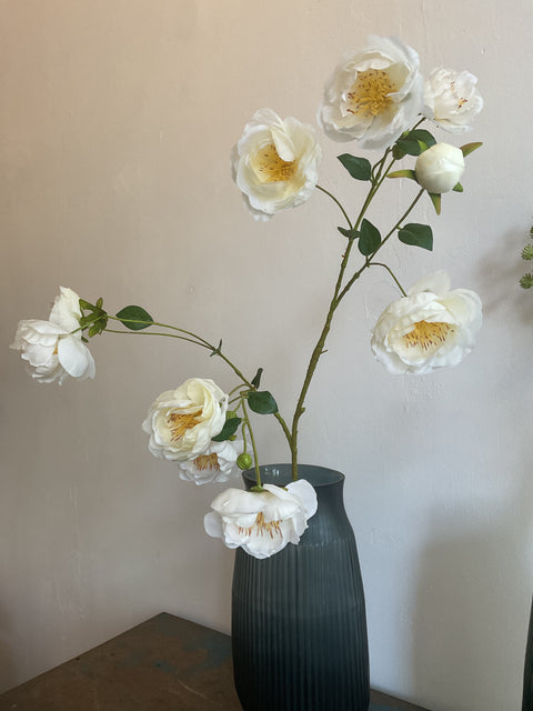 Pioenroos tak crème 112 cm