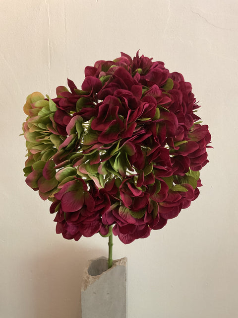 Hortensia steel groot burgundy/groen 86 cm