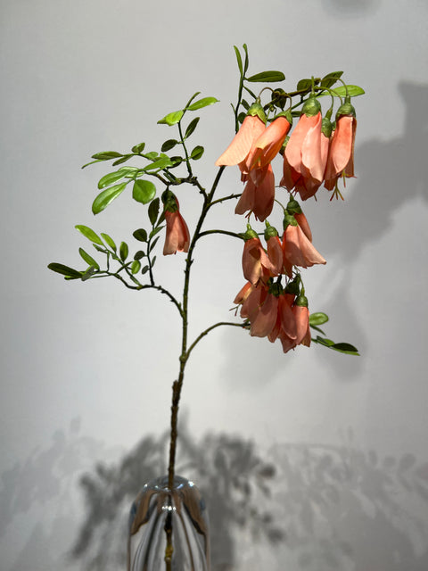 Kowhai flower peach   87 cm