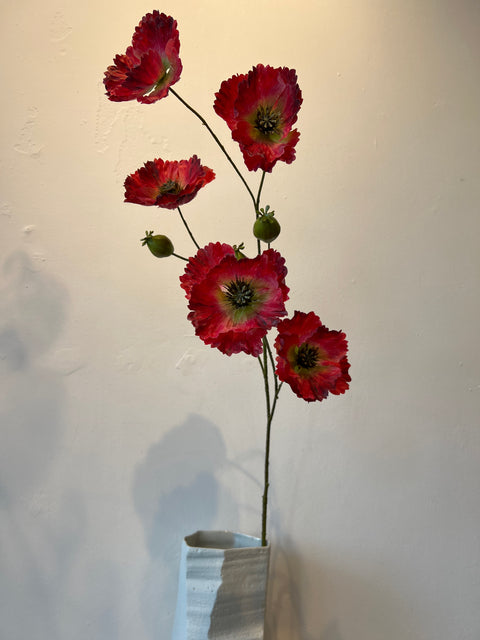 Papaver x5 groot rood 112 cm