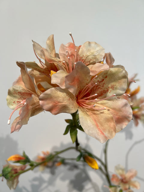Azalia branch peach 116 cm