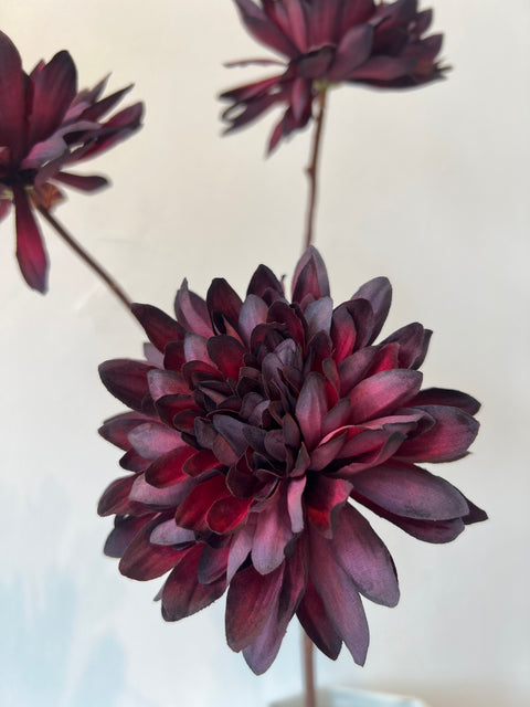 Dahlia x3 bordeaux 70 cm