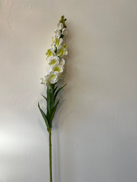 Leeuwenbek wit 93 cm