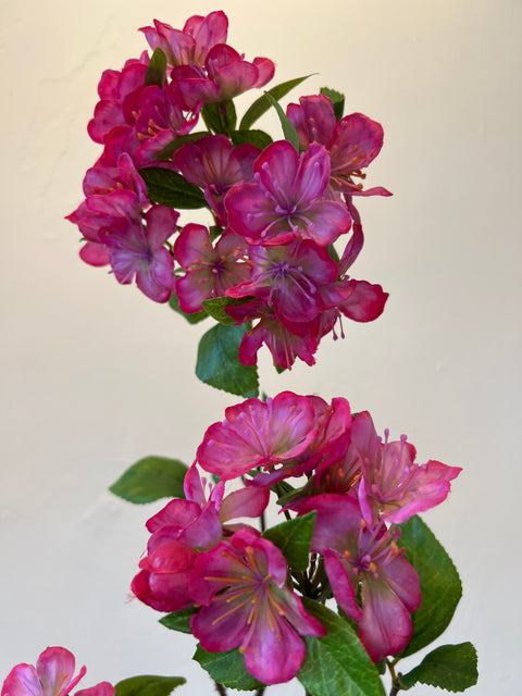 Bloesemtak appel 75 cm beauty