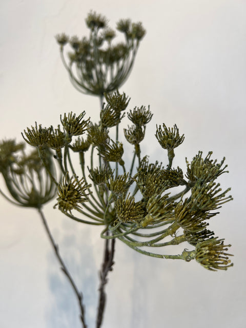 Dille tak x 3 groen 97 cm