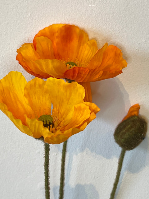 Papaver spray oranje 75 cm
