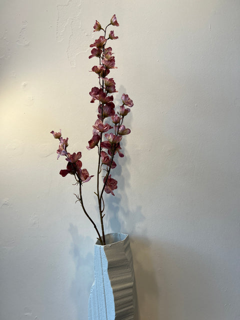 Delphinium roze 110 cm