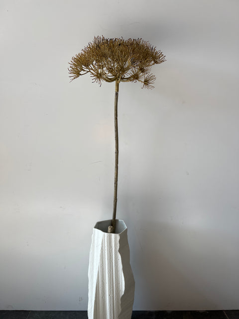 Dille scherm beige 80 cm