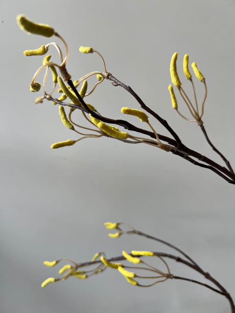 Berkentak met katjes geel/bruin 117 cm