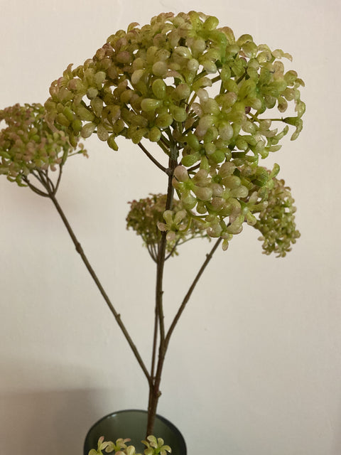 Dille tak bollen groen 107 cm