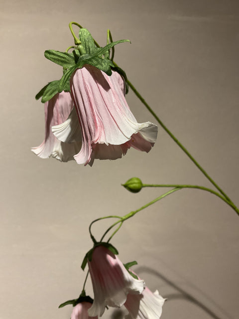 Cobea tak 110 cm pink