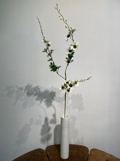 Cosmos lang 105 cm cream
