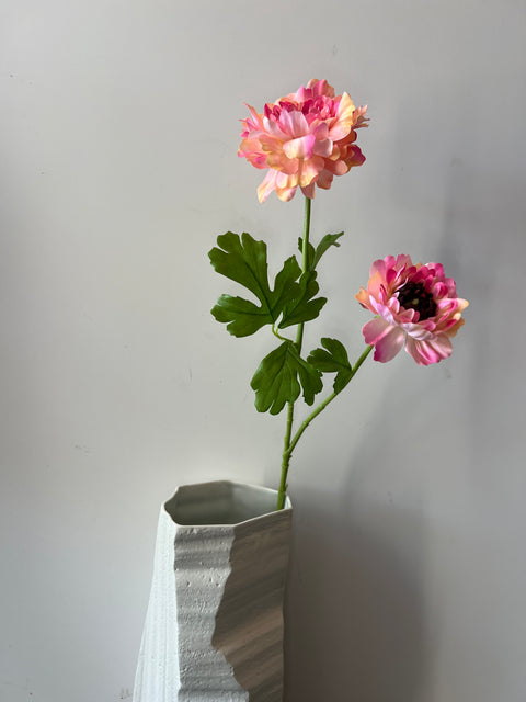 Ranonkel Japan peach 65 cm