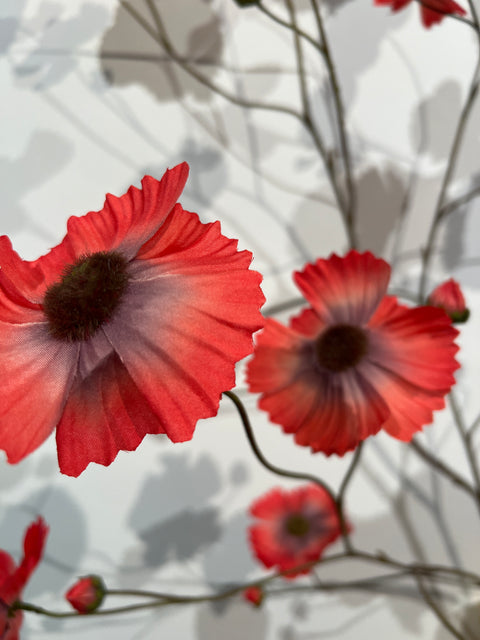 Cosmos spray red 124 cm