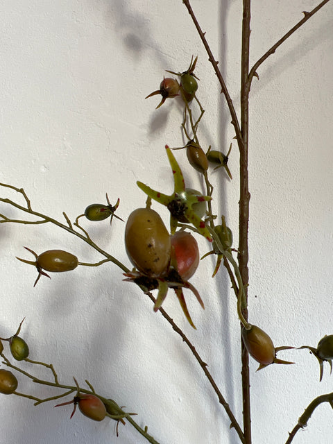 Rozenbottel tak 168 cm groene bottels