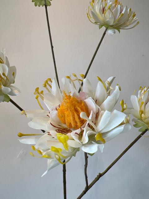 Dahlia x5 room wit 103 cm