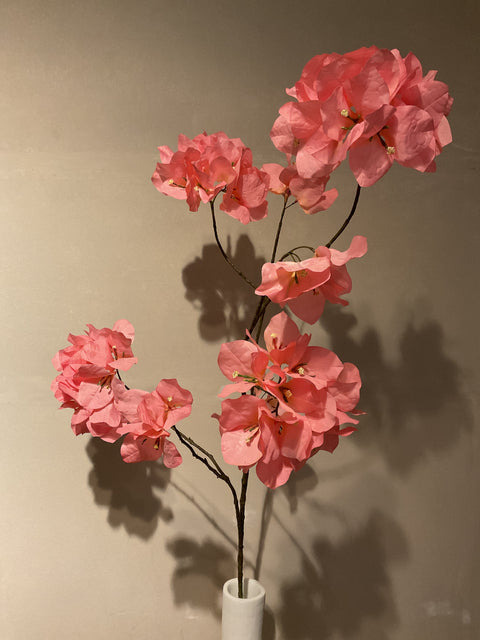Bougainvillea tak 111 cm pink