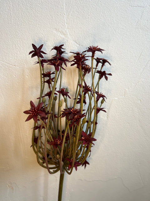 Allium bordeaux 84 cm