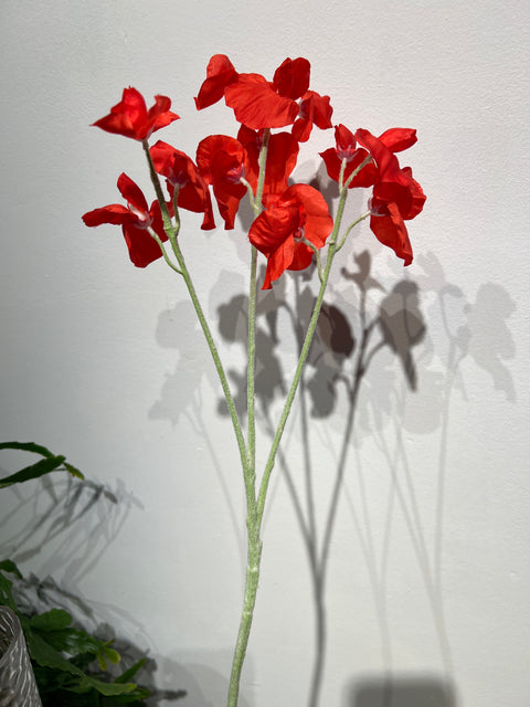 Lathyrus spray rood 66 cm