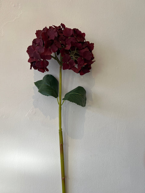 Hortensia bol donker rood 80 cm