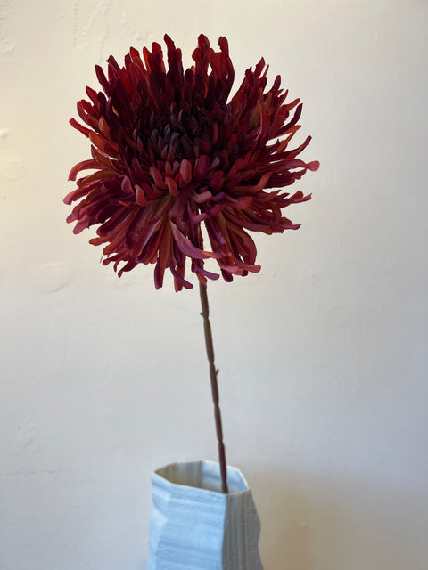 Chrysant bordeaux 72 cm