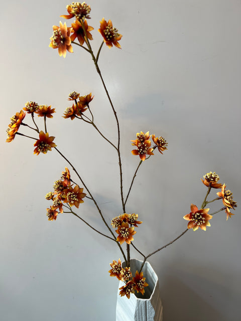 Zeeuws knoopje groot oranje 119 cm