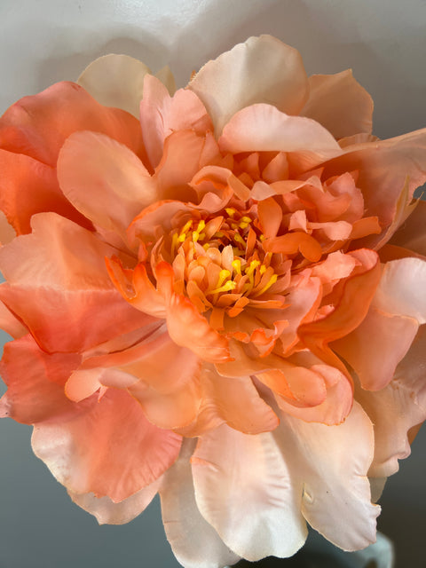 Pioenroos peach 56 cm