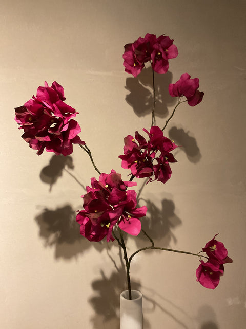 Bougainvillea tak 111 cm bordeaux