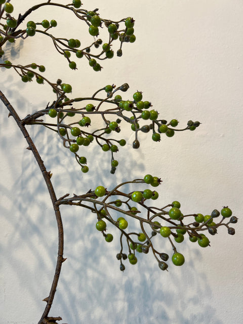 Rozenbottel spray lang groen 135 cm