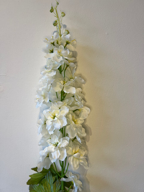 Delphinium wit 98 cm
