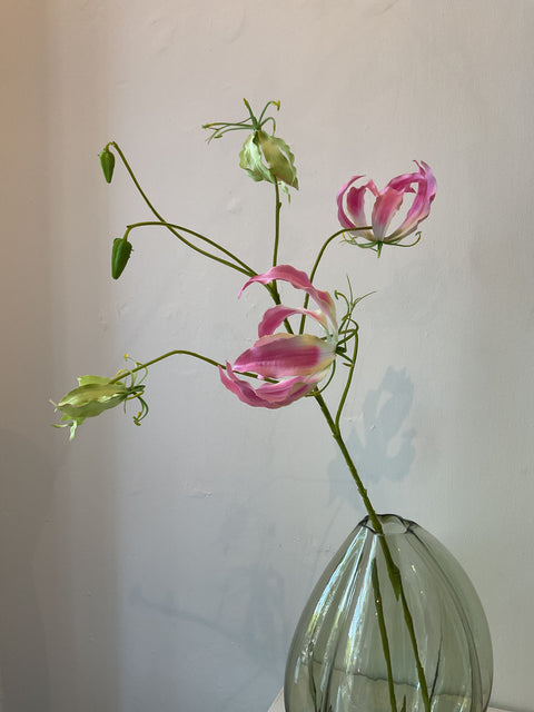 Gloriosa tak roze 89 cm