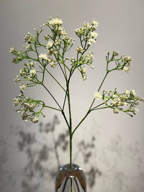 Gipskruid spray cream/wit  70 cm