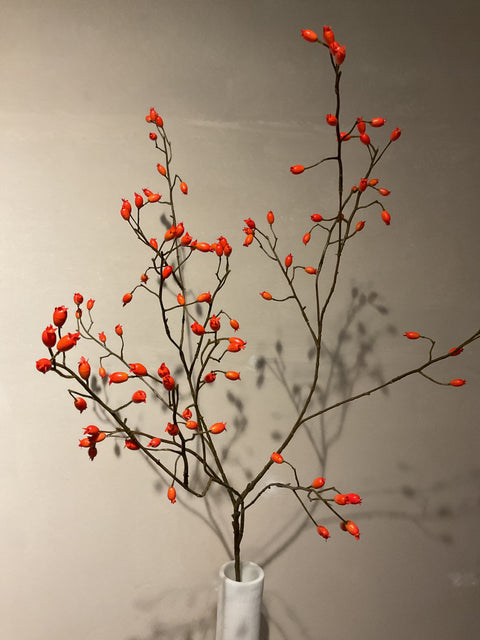 Rozenbottel tak 105 cm oranje bottels