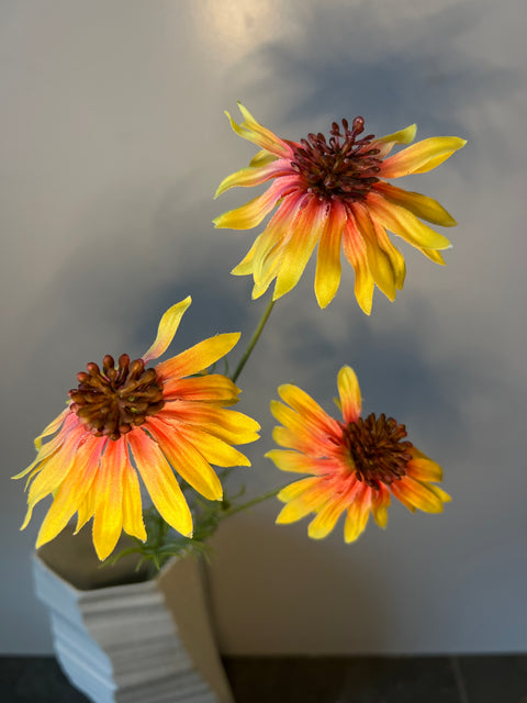 Rudbeckia tak geel 68 cm