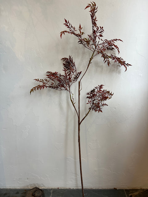 Blad tak Mahonie bordeaux 140 cm